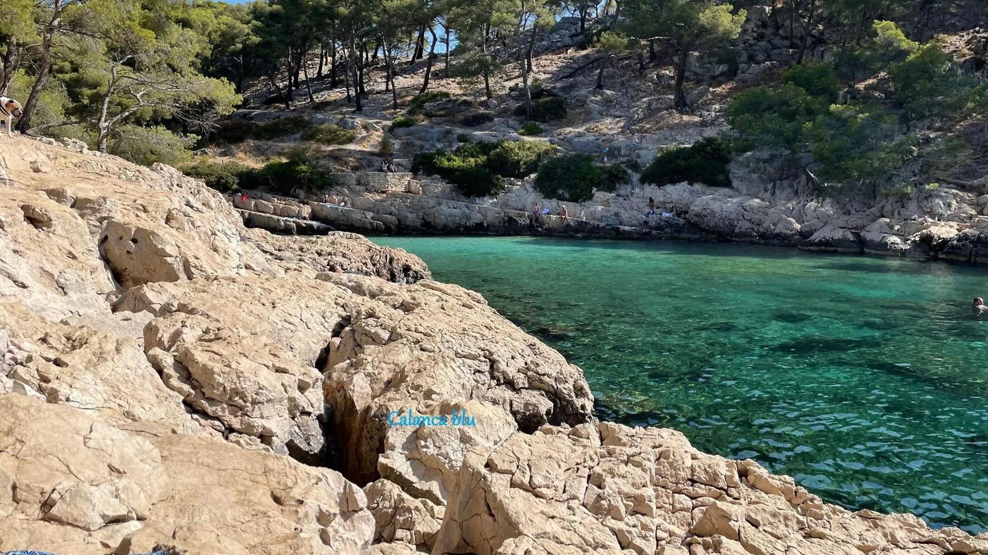 Calanca Blu : Grand Appartement Cuges-les-Pins Apartment